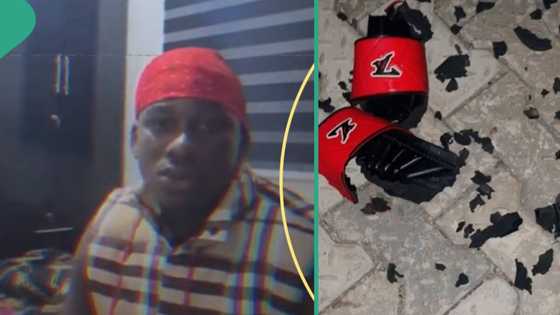 “l wear Ashluxe pam”: Dogs eat up Nigerian man's expensive shoes, he shares experience