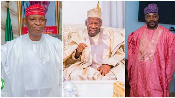 Fresh twist in Ganduje's alleged dollar bribery case as NNPP govt officially begins investigation