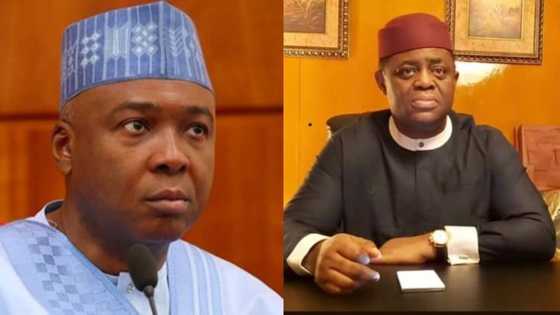 After visiting GEJ, Fani-Kayode recalls Saraki's role in ex-president's downfall in 2015