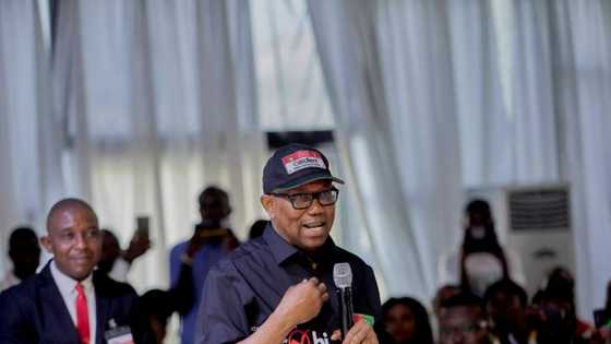 Nigerians react as prominent northern PDP governor endorses Peter Obi