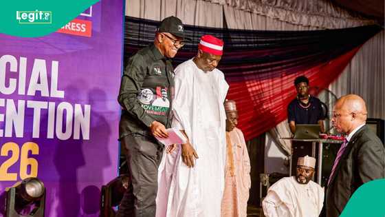 Just In: Peter Obi takes final decision on naming Kwankwaso as running mate for 2027 election