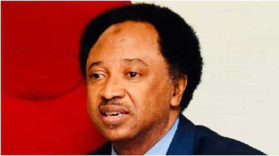 PDP, APC, LP: Shehu Sani Ya Faɗi Jam'iyyar Da Ya Kamata Gwamnoni Da Ke Fushi Da Jam'iyyarsu Su Shiga