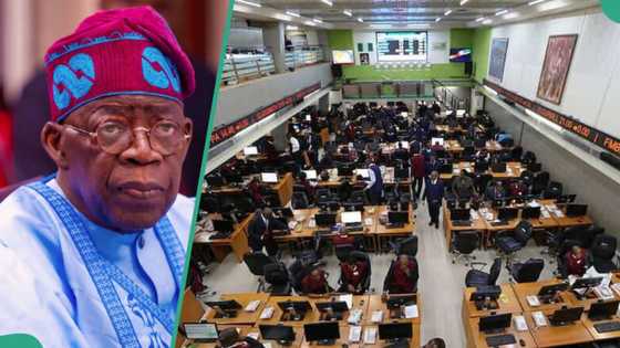 Tinubu policies help Access, Zenith, 3 other top banks shareholders pocket over N1.2trn in 9 months