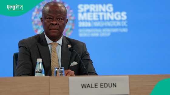 Ex-finance minister Wale Edun’s economic scorecard released after sack