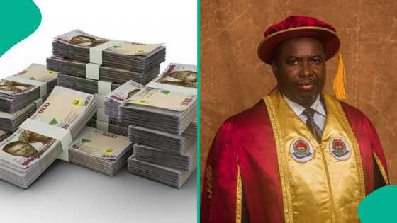 Joash Amupitan: Salary of INEC chairman according to RMAFC surfaces