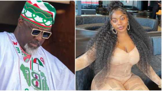 “I will sue you”: Dino Melaye blows hot as blog links him to comedian Ashmusy, calls them ‘agent of APC’