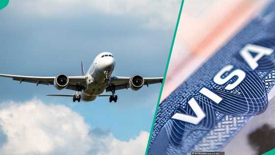 UK announces visa fee changes for Nigerians from April 8