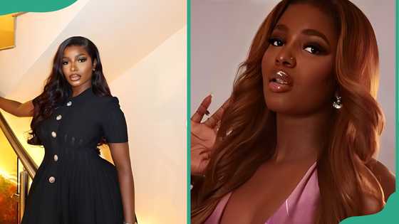 Who is Isabella Georgewill BBNaija? Meet Season 10's energetic firecracker