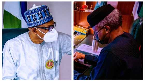 JUST IN: Osinbajo heads FEC meeting as Buhari attends virtually from Daura