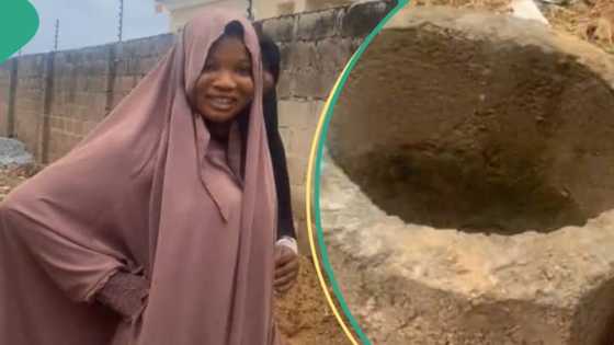 Sallah 2024: Drama as ram jumps into well in trending video, people react