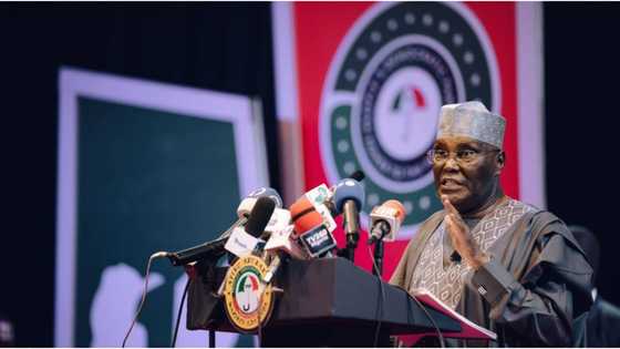 Unity across Nigeria? 5 reasons why Atiku is contesting to be Nigeria's next president