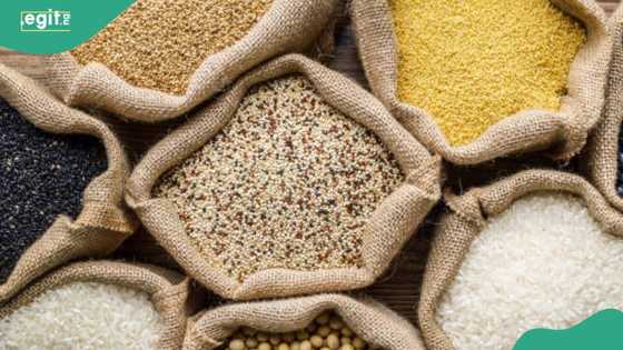 Sarkin Damaturu ya fara yunkurin rage farashin abinci domin saukakawa talaka