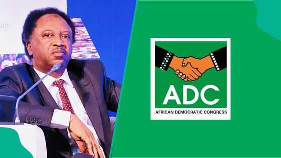 Shehu Sani makes 2 claims as court gives verdict on ADC saga