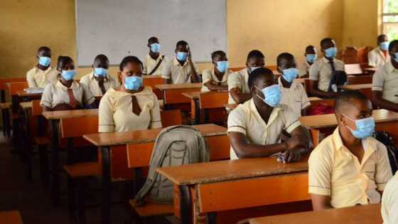 FG issues warning to state governors over proposed full resumption of schools