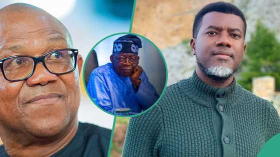 Tinubu’s certificate saga: "Why didn’t you tender your own degree?" Reno Omokri taunts Peter Obi