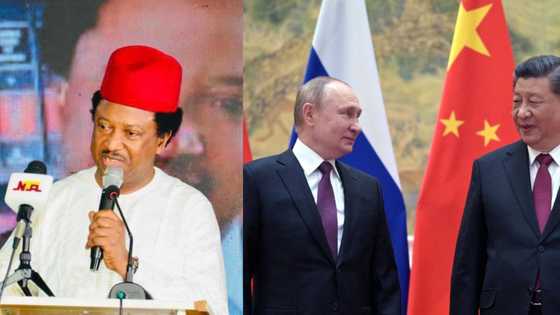 Akwai sharrin Turawa: Shehu Sani ya fadi abubuwa 5 da suke sa juyin mulki a Afrika