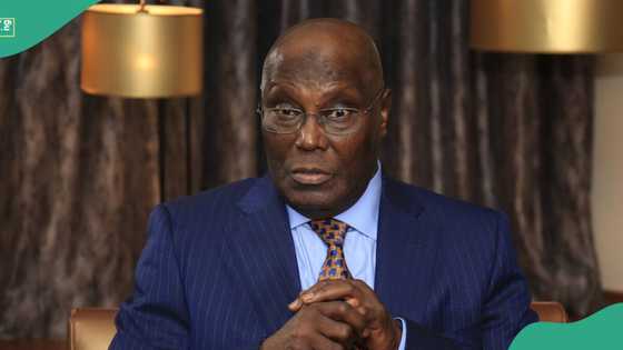 Tinubu's aide trolls Atiku over 'world press conference' without PDP governors