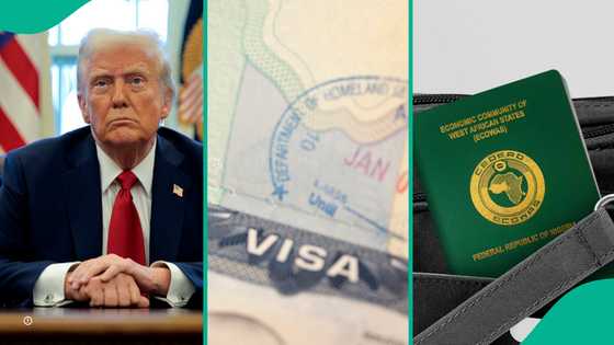 Trump deportation: 4 things to know about visa lottery that allows 55,000 people to enter USA yearly