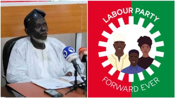 Fresh crisis erupts in Labour Party as factional chairman emerges