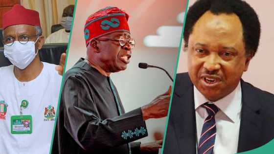 Drama as Shehu Sani reminds Tinubu of El-Rufai's contributions