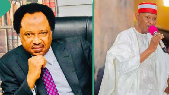 Shehu Sani reacts as appeal court's CTC judgement affirms Kano governor Abba Yusuf's victory