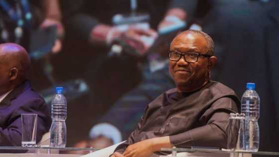 Nigeria 2023 election: Peter Obi claims Abia with landslide victory