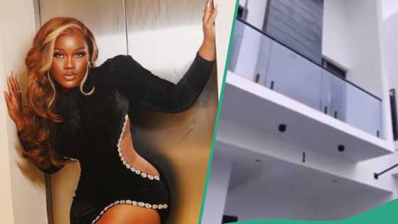 "Fans wey no get house dey buy for person": Reactions as sneak peek of BBN Cee C's N120m house leaks