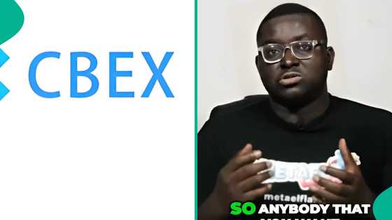 Man shares how CBEX investors might still recover their funds, explains 4 steps to take