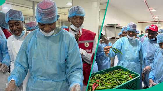 Abba ya shiga madafin 'yan Kano a Saudiyya don duba abincin da ake rabawa