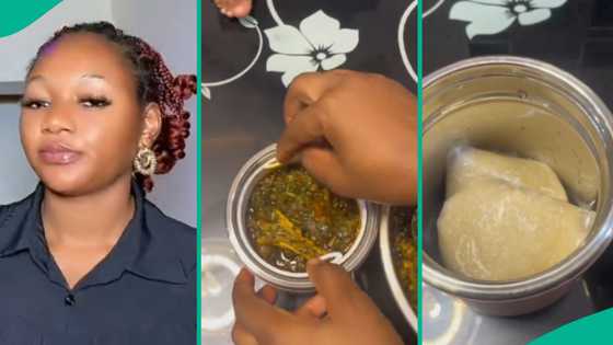 Mum gives daughter swallow and afang soup to take to school, shares what influenced her action