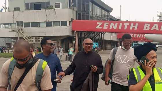 I can't be dating a mummy: Nigerian lady dumps boyfriend for not supporting Peter Obi for president