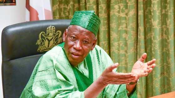 Kano states government obtains court order to close 3 commercial banks, gives 2 weeks deadline