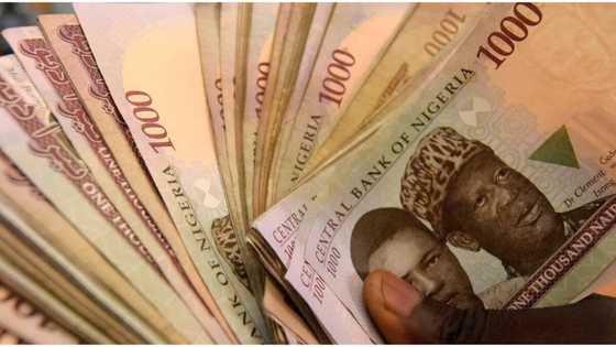 Pound remains strong against naira as dollar sells above N500