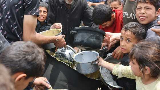 Gaza faces 'critical risk of famine': UN report
