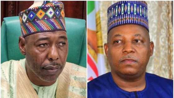 Zuhudu: Zulum ya dakatar da saka sunansa a wani aiki, ya saka sunan tsohon gwamna