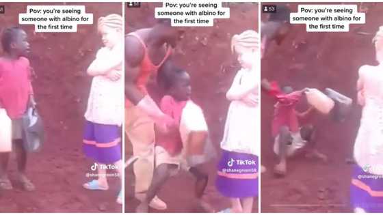 "She thinks they're ghosts": Girl screams and cries out upon seeing albino, runs away in trending video