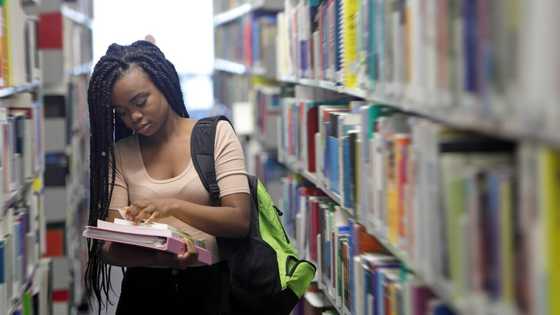 UK government gives student visas to 59,053 Nigerians in 2022, highest in four years