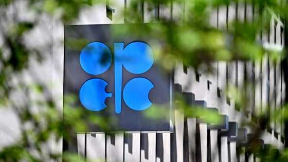 OPEC+ expected to open taps more despite price slump