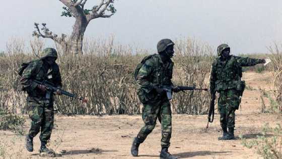 Harin Fansa: Sojojin Najeriya sun hallaka kasurgumin kwamandan yan ta'adda da wasu 37 a Askira