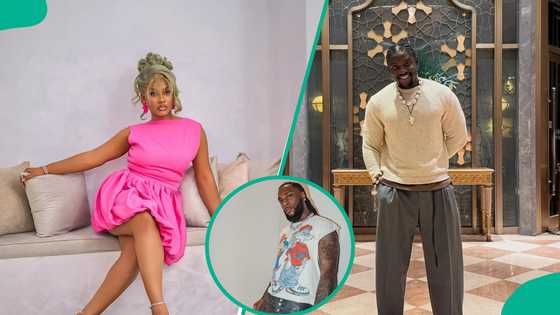 Phyna fires back at VDM, drags his mother over crackhead comment, fans take sides