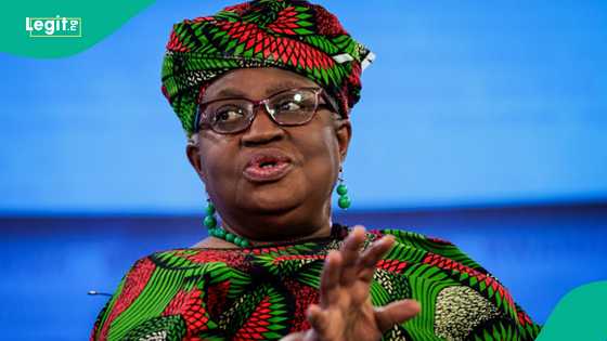 Sisterhood in politics: How women leaders in Nigeria overcome barriers through solidarity