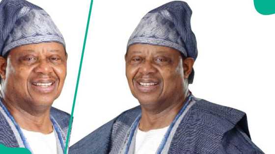 AMNI refutes receivership claims, says court order in Cenroc dispute misrepresented