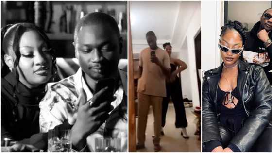 Tems' manager sparks dating rumour with birthday message to her, many react: "Make e no be wetin we dey think"