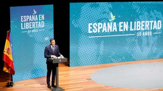 Spanish PM says Musk 'stirs up hatred', warns against fascism