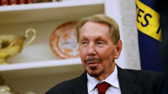 Volatile Oracle shares a proxy for Wall Street's AI jitters