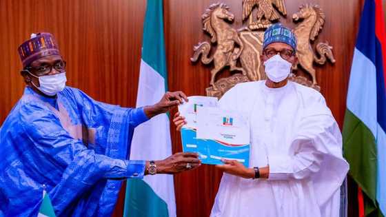 2023: Has APC truly zoned presidency to south? Governor Buni gives important update