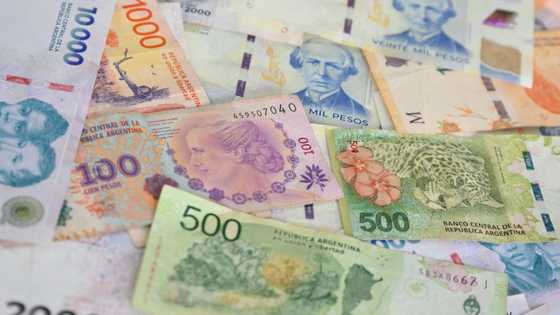 Argentine peso, stocks fall after ruling party's election setback