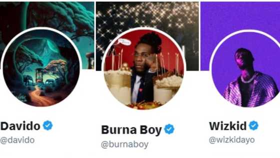 Burna Boy, Davido and Wizkid rejoin Twitter verified gang as Musk reportedly returns badges to celebs