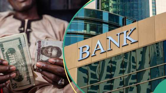 Top US bank predicts exciting new Naira to Dollar exchange rate in 2024