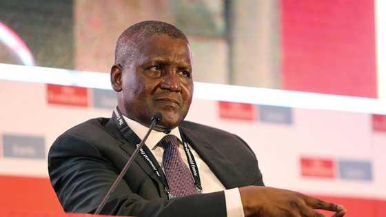 Kogi govt moves to take over Obajana cement plant from Dangote, Company reacts